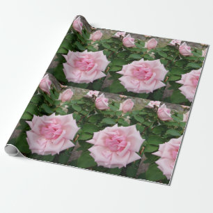 Papier Cadeau Jardin fleuri rose Rose Enveloppement