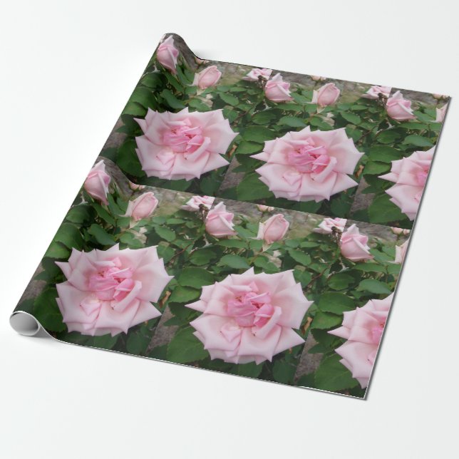 Papier Cadeau Jardin fleuri rose Rose Enveloppement (Déroulé)