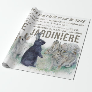 Papier Cadeau Jardin Vintage Lapin Rabbit Découpage