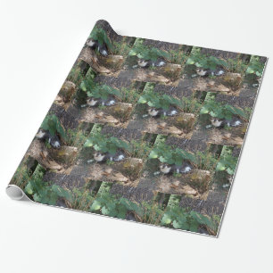 Papier Cadeau Je suis le chat invisible