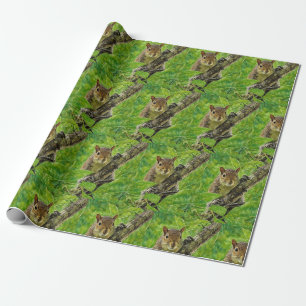Papier Cadeau Je Vous Vois Écureuil