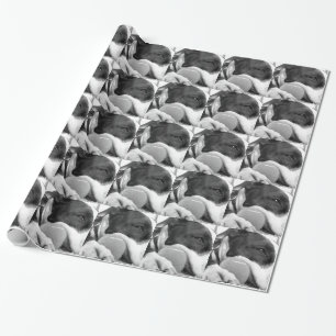 Papier Cadeau joli chien pitbull au look triste noir et blanc av