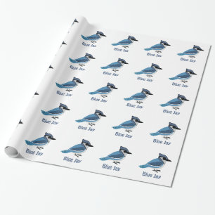 Papier Cadeau Joli Jay bleu