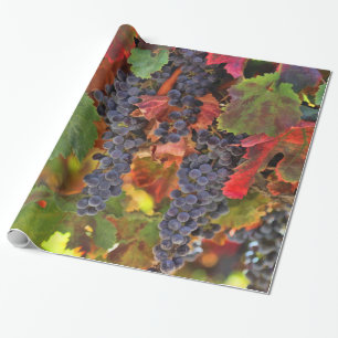 Papier Cadeau Joli Vigne Vigne Vignoble Papier d'enveloppement