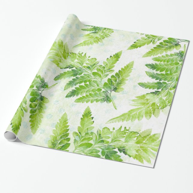 Papier Cadeau Jolie Ferne Botanique Motif d'aquarelle verte (Déroulé)