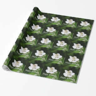 Papier Cadeau Jolie fleur de framboisier blanche de printemps ph