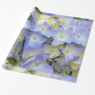 Papier Cadeau Jolies et colorées fleurs bleu-clair d'hortensia
