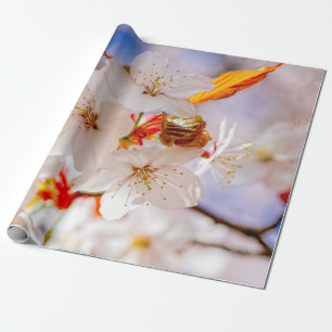 Papier Cadeau Jolies Et Élégantes Fleurs Sakura