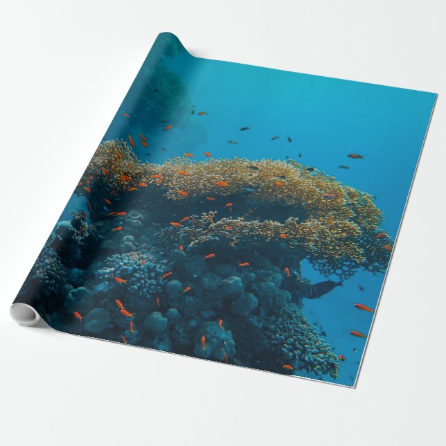Papier Cadeau Jolies Poissons Et Barrière (Déroulé)
