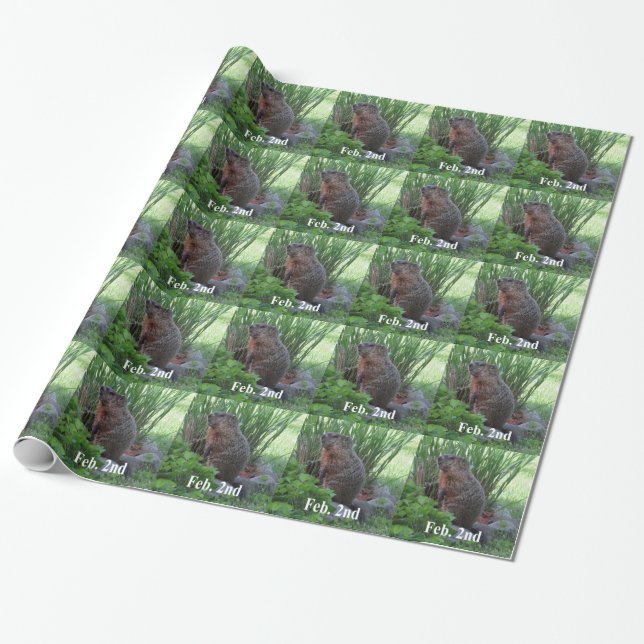 Papier Cadeau Jour de la marmotte (Déroulé)