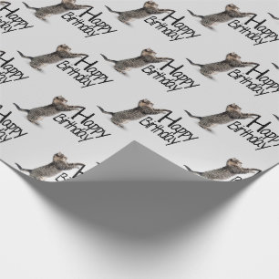 Papier Cadeau Joyeux Anniversaire chat tigré amusant
