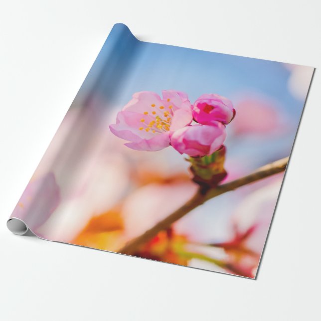Papier Cadeau Joyeux Anniversaire Des Fleurs De Cerisiers De Sak (Déroulé)