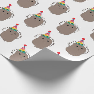 Papier Cadeau Joyeux anniversaire Funny Potato