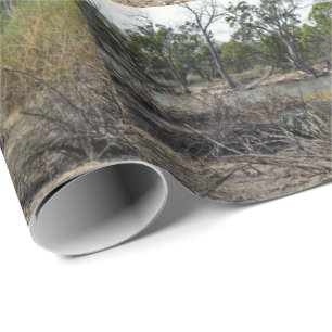 Papier Cadeau Kangaroo, Pendant Ce Temps Sur Le Billabong,