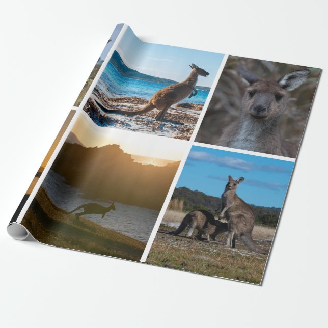 Papier Cadeau Kangaroos d'Australie (Déroulé)