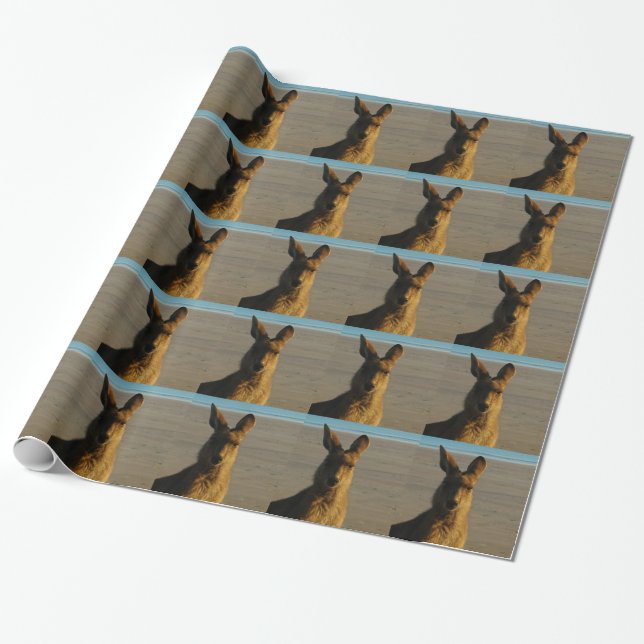 Papier Cadeau Kangourous (Déroulé)