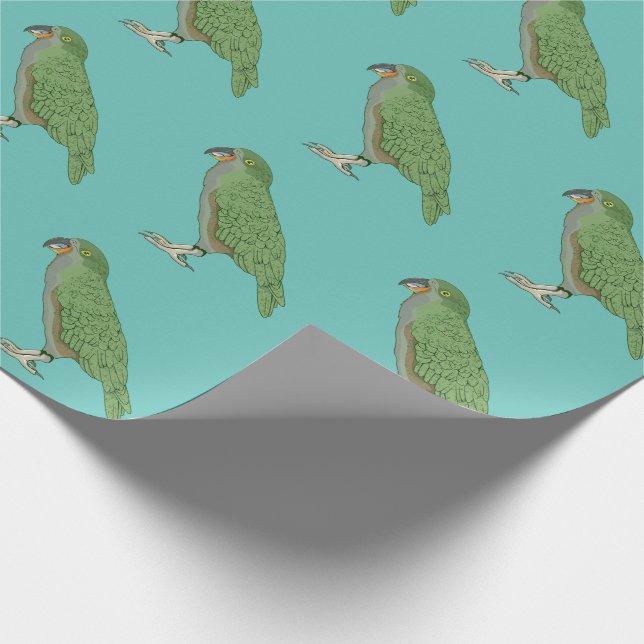 Papier Cadeau Kea New Zealand Bird (Coin)