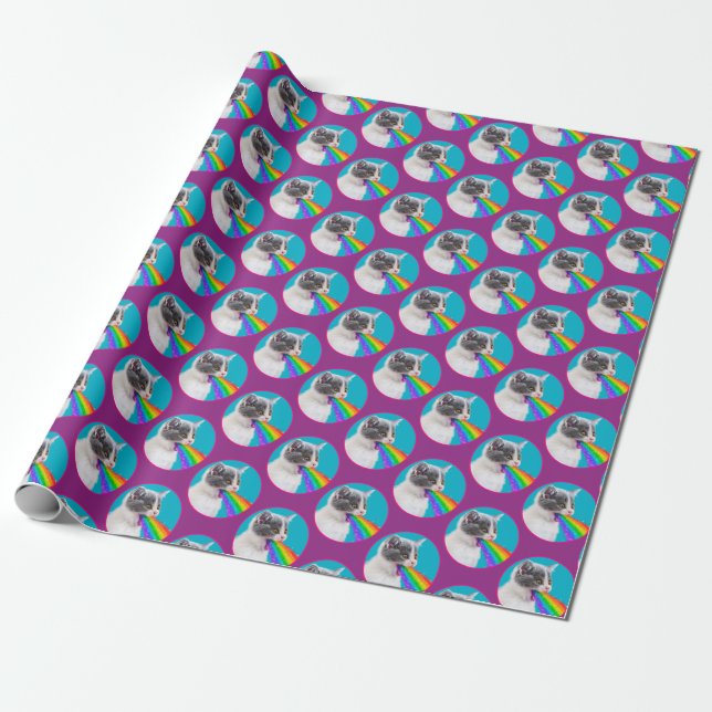 Papier Cadeau Kitten crache vers le ciel (Déroulé)