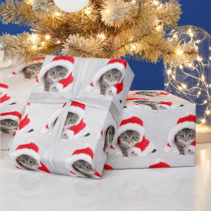 Papier Cadeau Kitten De Noël En Casquette Sur Grey