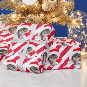 Papier Cadeau Kitten De Noël En Casquette Sur Grilles
