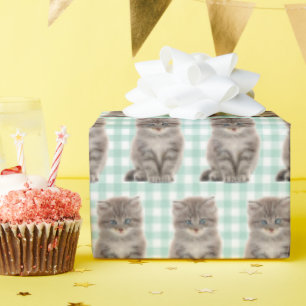 Papier Cadeau Kitten gris sur En vichy vert et blanc
