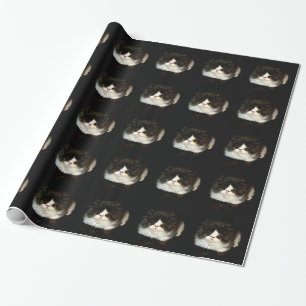 Papier Cadeau Kitten noir et blanc