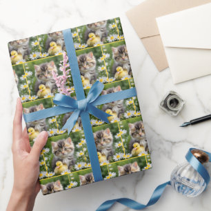 Papier Cadeau KItty et cankling dans les marguerites