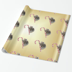 Papier Cadeau Koala Bear Mum et Joey Climbing Candy Cane