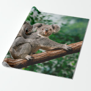 Papier Cadeau Koala, phascolarctos cinereus, Femme qui vous port
