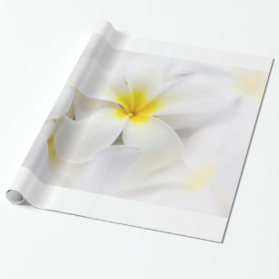 Papier Cadeau La fleur d'Hawaï de Frangipani de Plumeria fleuri