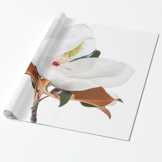Papier Cadeau La floraison florale des Magnolias blancs aux fleu (Déroulé)