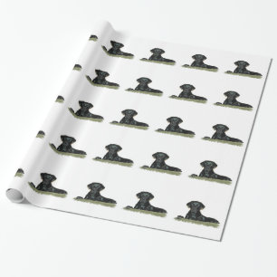 Papier Cadeau Laboratoire noir mignon