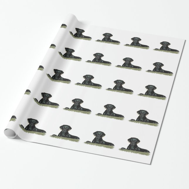 Papier Cadeau Laboratoire noir mignon (Déroulé)