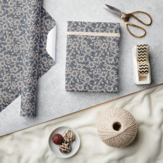 Papier Cadeau Lady Bugs in Blue