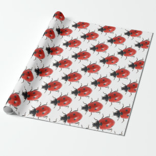 Papier Cadeau Ladybug