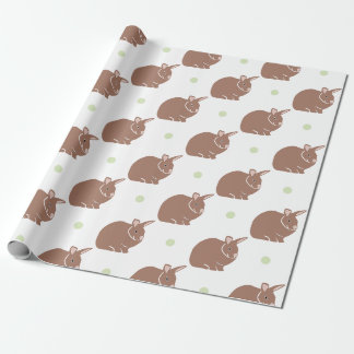 Papier Cadeau Lapin Lapin