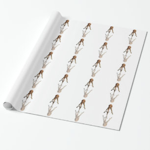 PAPIER CADEAU LE BAISER