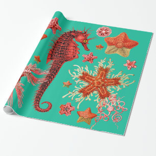 PAPIER CADEAU LE CHEVAL DE MER ROUGE ET LES SAISTAIRES EN AQUA B