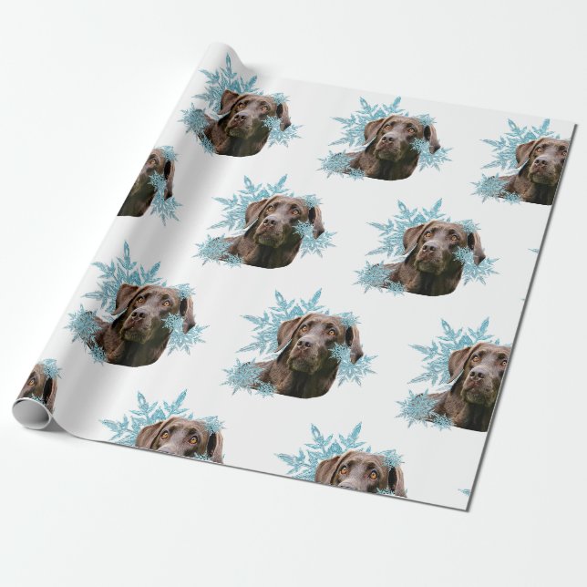 Papier Cadeau Le Labrador au chocolat dans les flocons de neige (Déroulé)