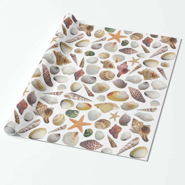 Papier Cadeau Le papier d'emballage de collecteur de Shell (Déroulé)