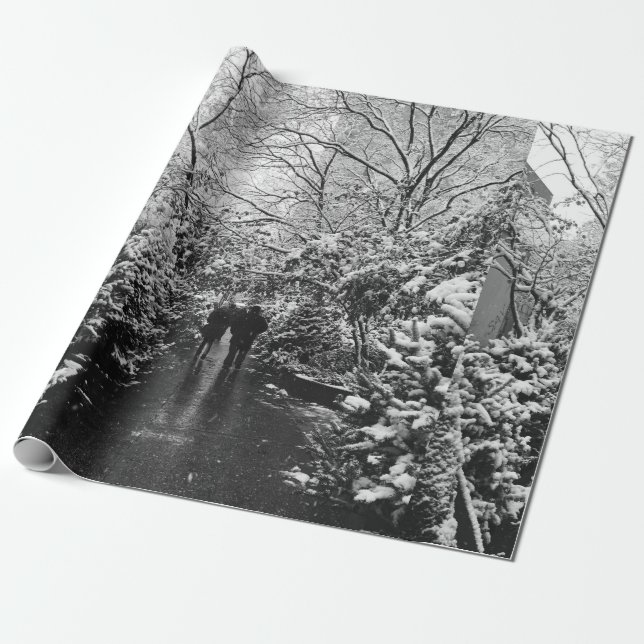 Papier Cadeau Le pays des merveilles d'hiver de NYC (Déroulé)