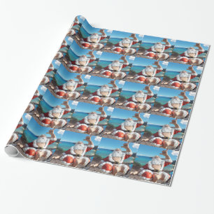 Papier Cadeau Le Père Noël à Hawaii