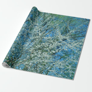 Papier Cadeau Le prunier sauvage en fleurs