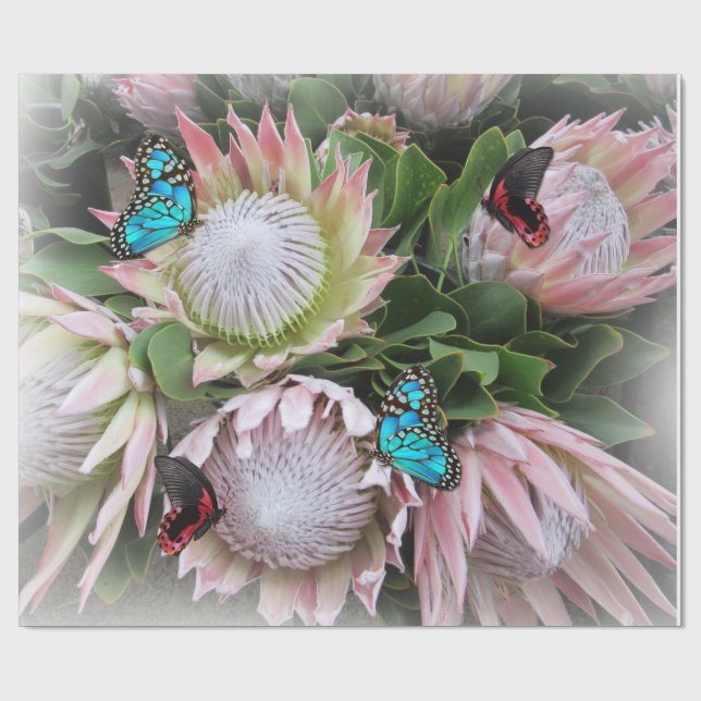 Papier Cadeau Le roi Protea (Plat)