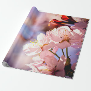 Papier Cadeau Le Sakura S'Éclate Par Un Jour De Soleil