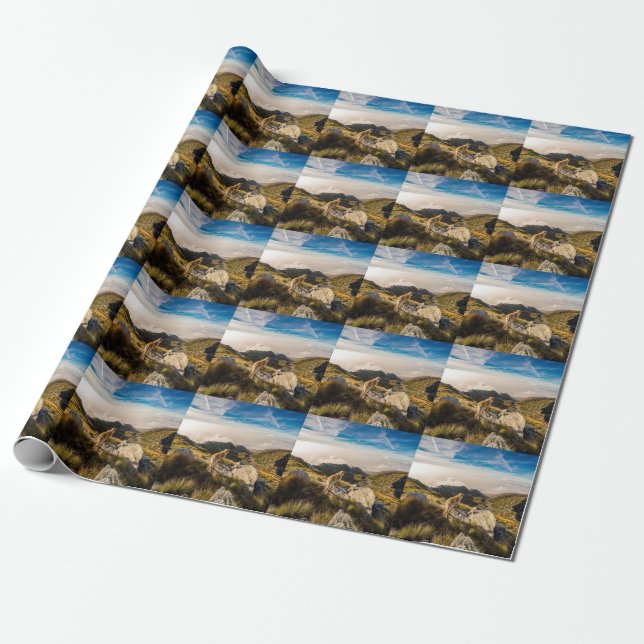 Papier Cadeau Le voyage (Déroulé)