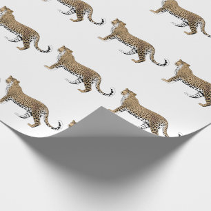Papier Cadeau Leopard