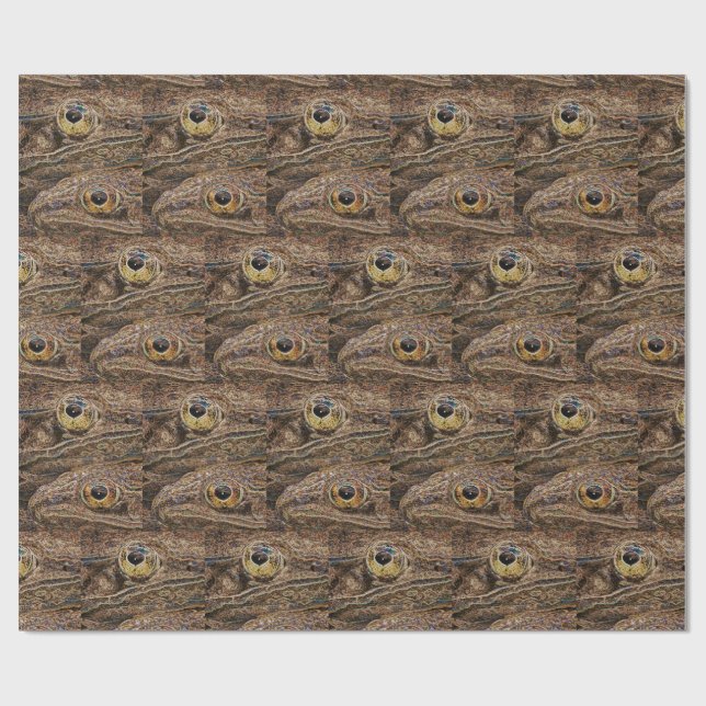 Papier Cadeau Leopard Frogs Wild Art (Plat)