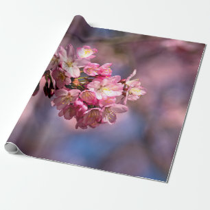 Papier Cadeau Les Fleurs De Cerisiers Sakura En Rose