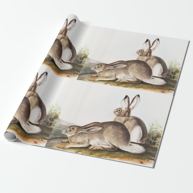 Papier Cadeau Lièvre des Rocheuses de Townsend (Lepus Townsendii (Déroulé)